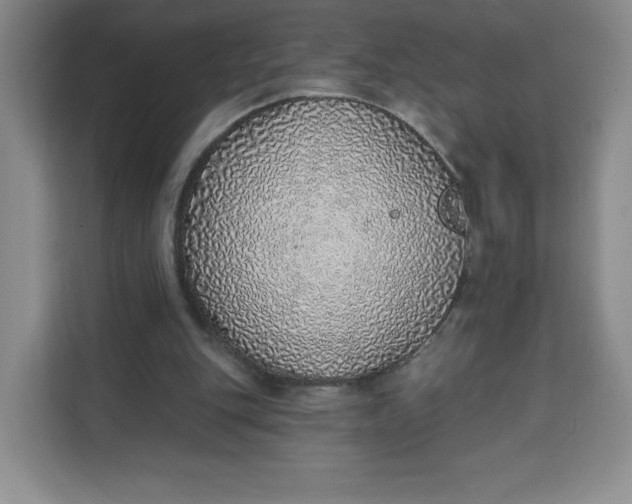 X0000111130151200907141218