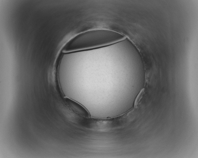 X0000111130152200907141218