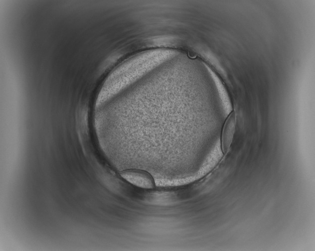 X0000111130154200907141218