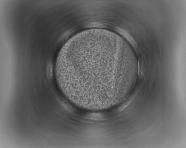 X0000111130157200907141218