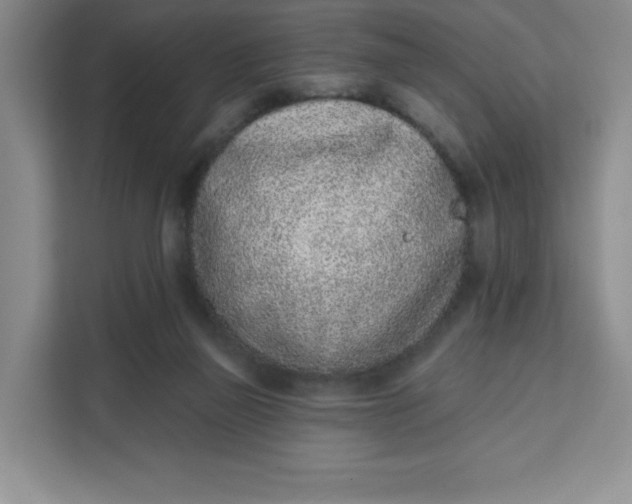 X0000111130165200907141218