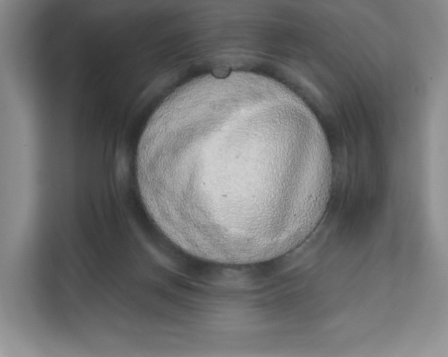 X0000111130166200907141218