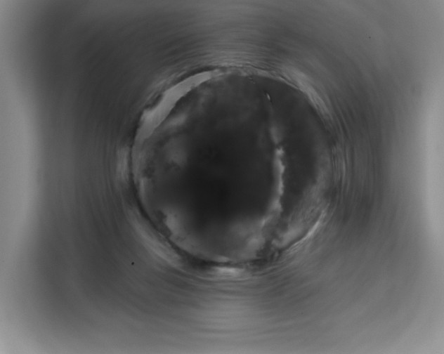 X0000111130167200907141218