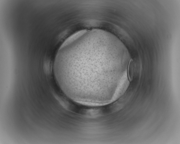 X0000111130168200907141218