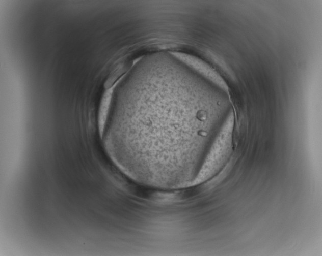 X0000111130170200907141218