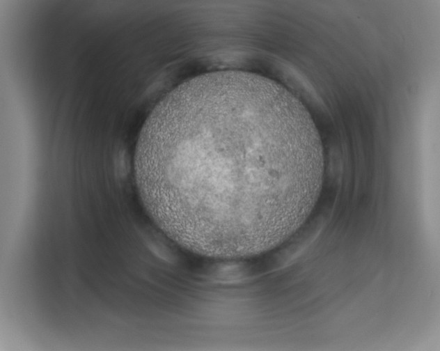 X0000111130173200907141218