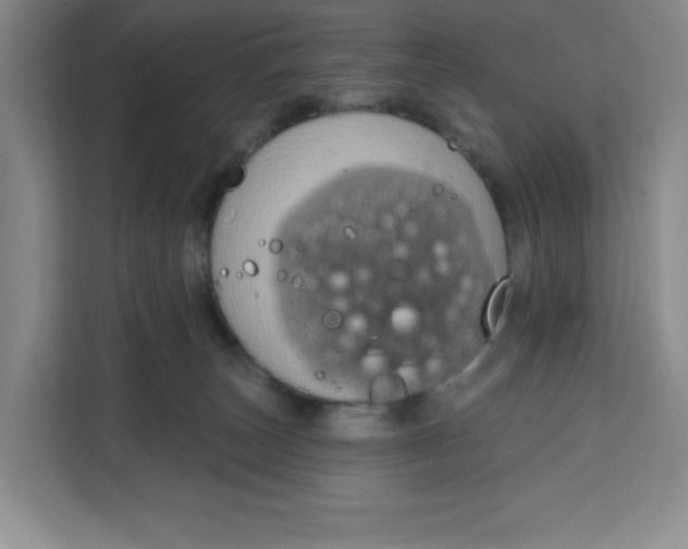 X0000111130179200907141218