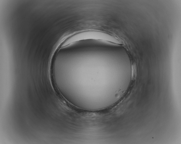 X0000111130195200907141217