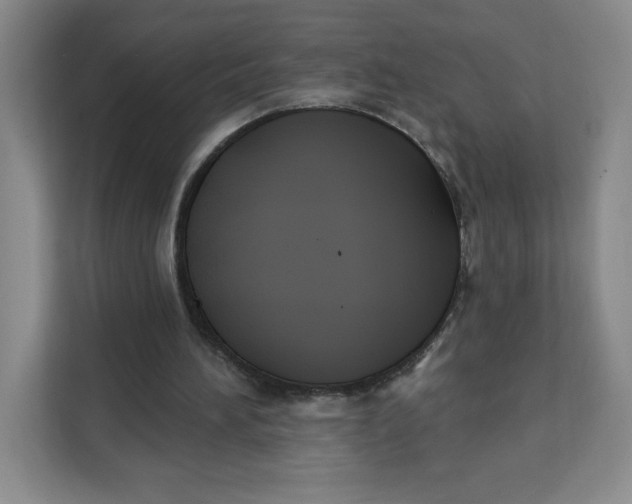 X0000111130196200907141217