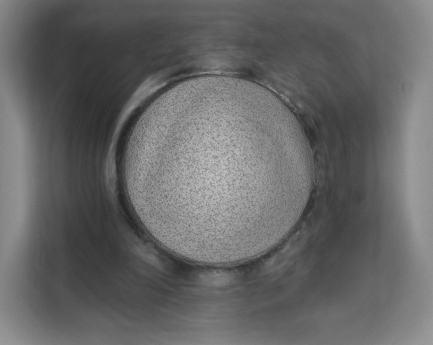 X0000111130198200907141217