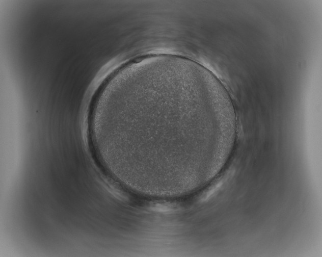 X0000111130199200907141217