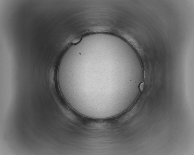 X0000111130201200907141217
