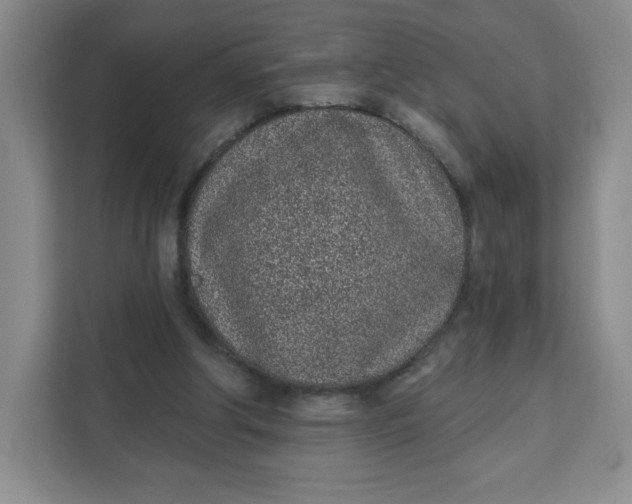 X0000111130202200907141217