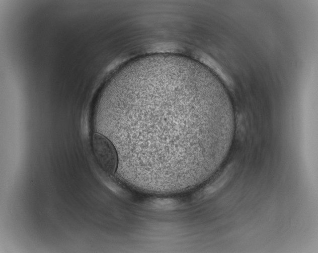 X0000111130203200907141217