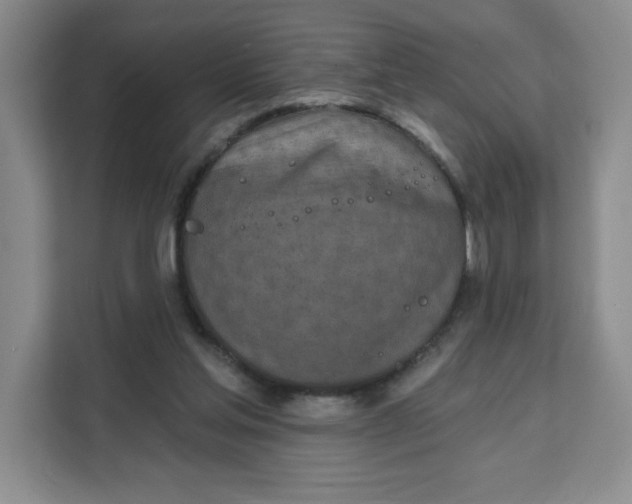 X0000111130205200907141217