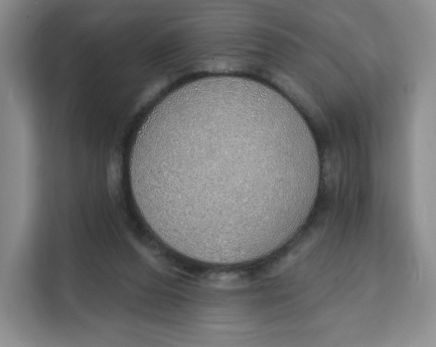 X0000111130208200907141217