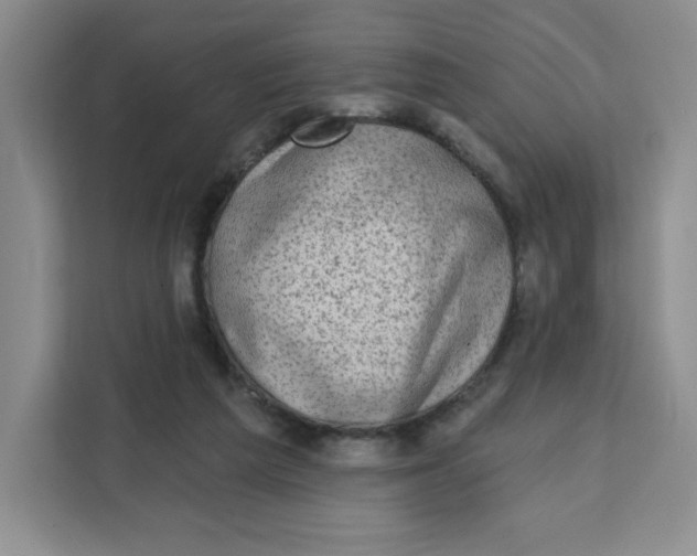 X0000111130209200907141217