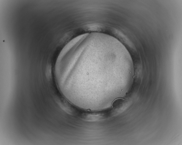X0000111130213200907141217