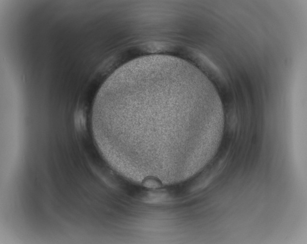 X0000111130214200907141217