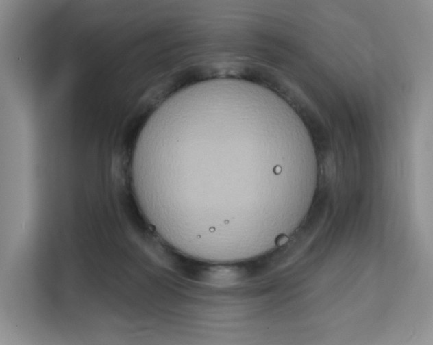 X0000111130218200907141217