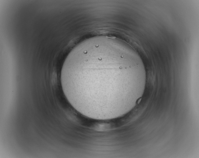 X0000111130220200907141217