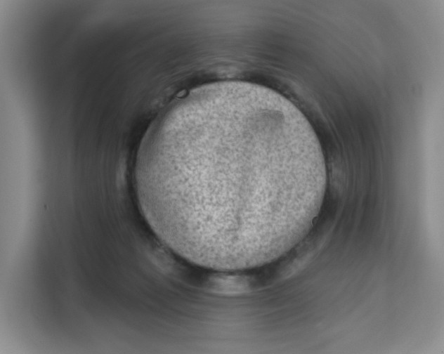 X0000111130221200907141217