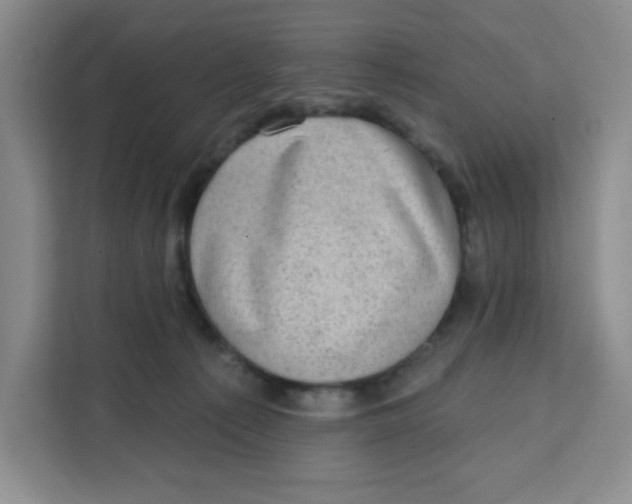 X0000111130225200907141217