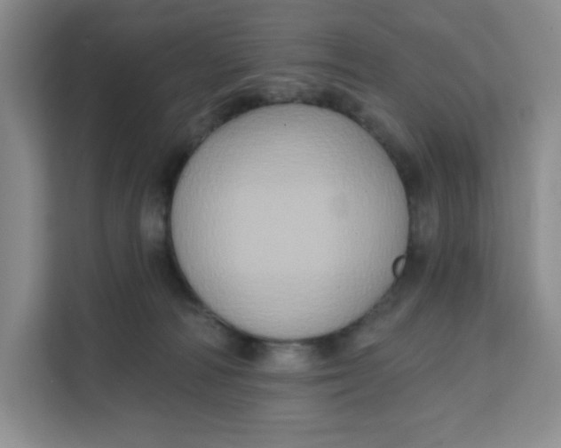 X0000111130226200907141217