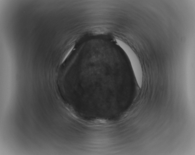 X0000111130227200907141217