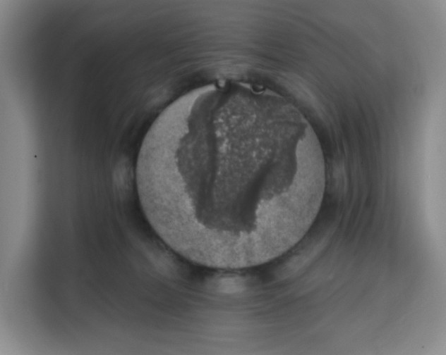 X0000111130228200907141217