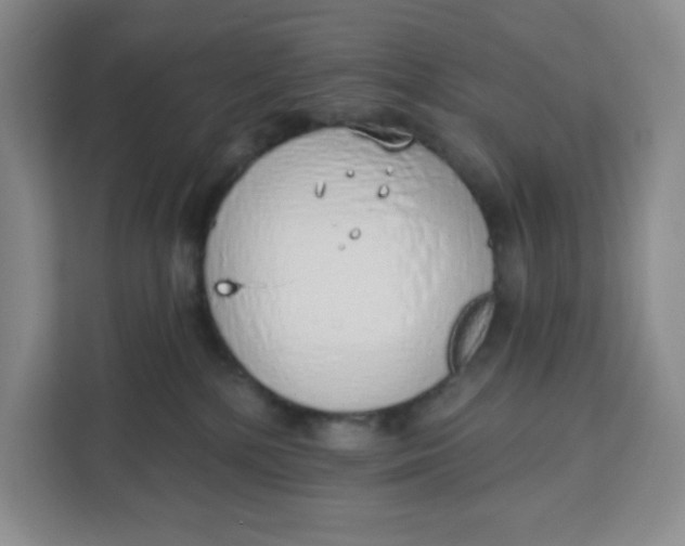 X0000111130232200907141217
