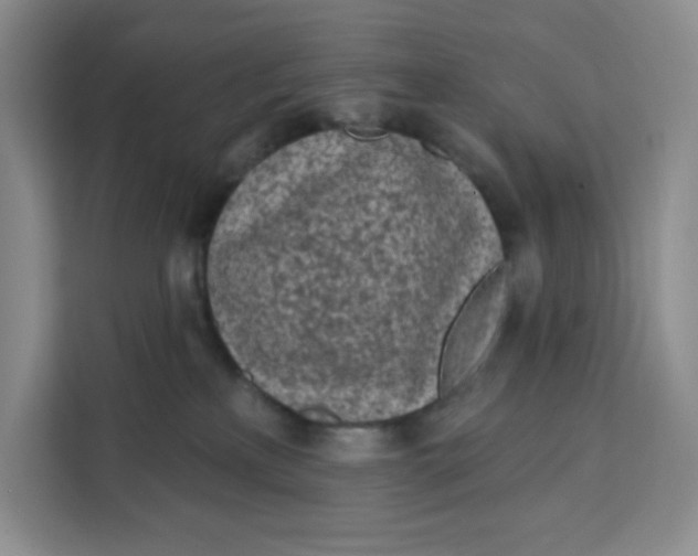 X0000111130233200907141217