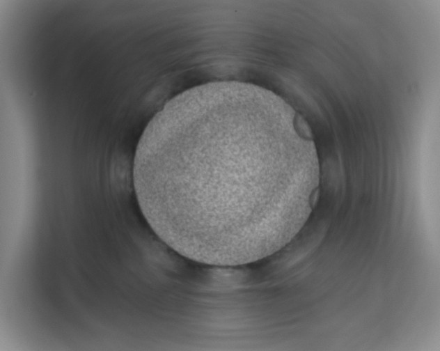 X0000111130234200907141217