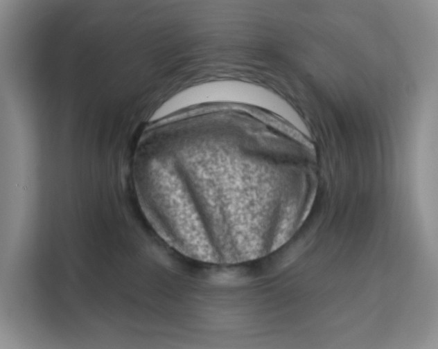 X0000111130235200907141217