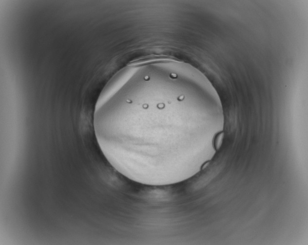 X0000111130236200907141217