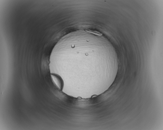 X0000111130240200907141217