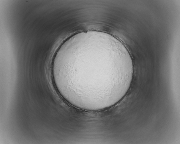 X0000111130241200907141216