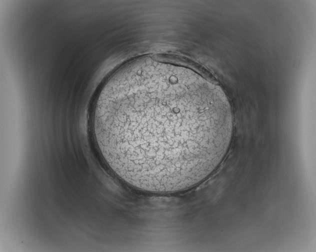 X0000111130242200907141216