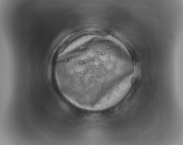 X0000111130243200907141216