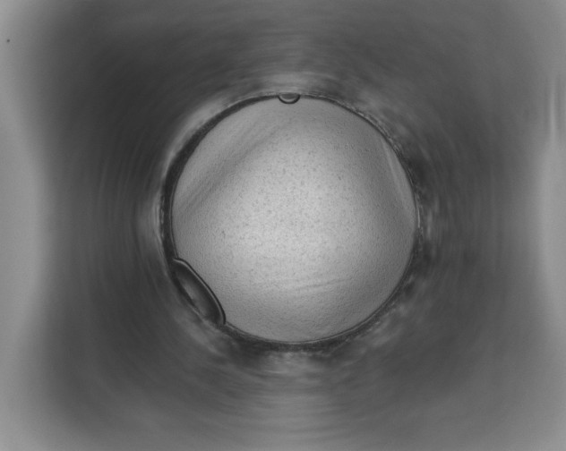 X0000111130244200907141216