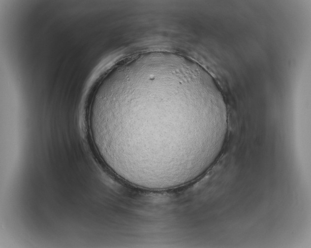 X0000111130245200907141216