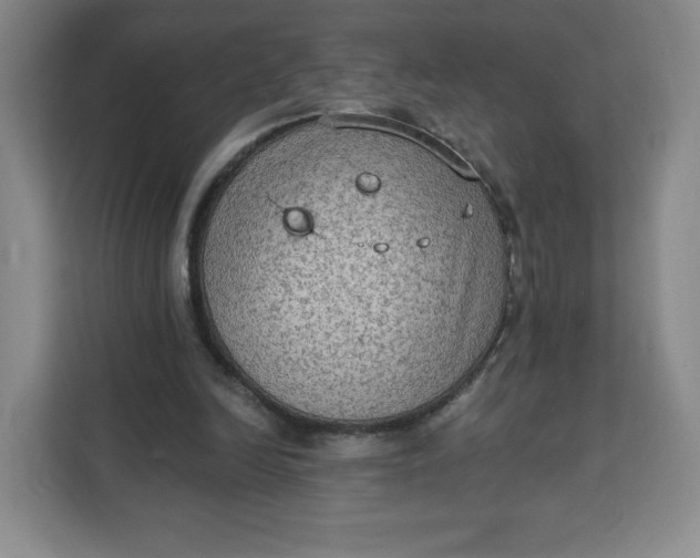 X0000111130246200907141216