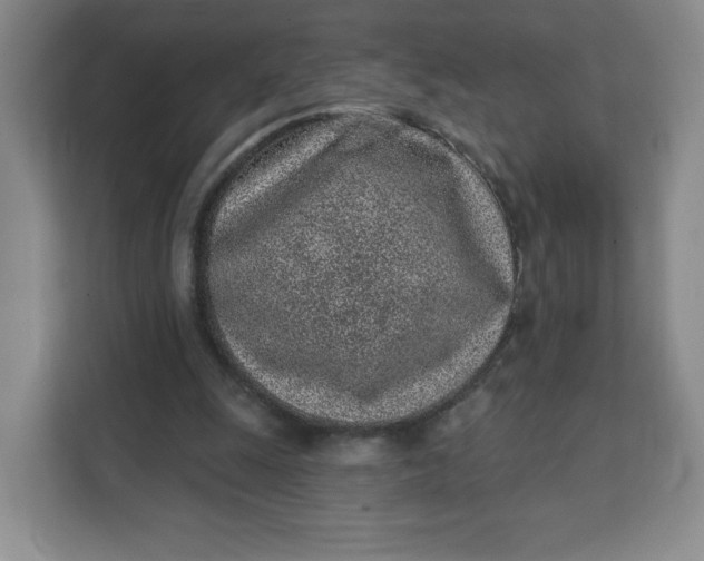 X0000111130247200907141216