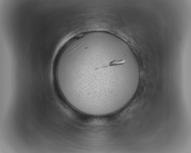 X0000111130248200907141216