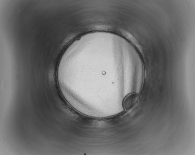 X0000111130249200907141216