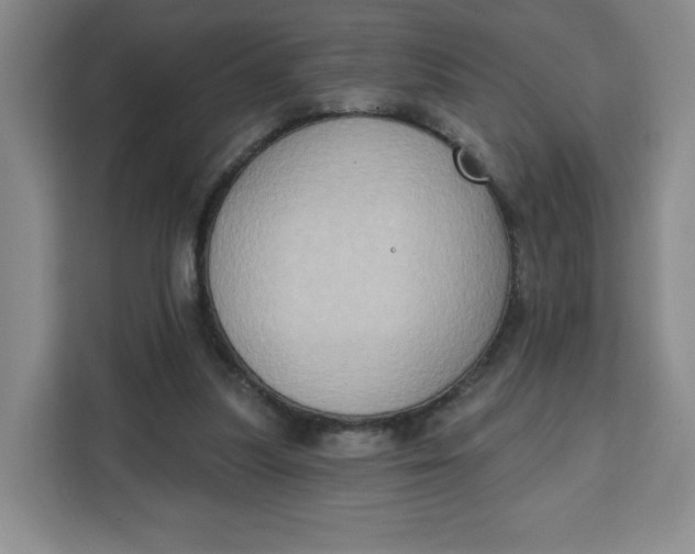 X0000111130251200907141216