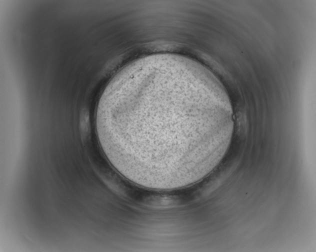 X0000111130254200907141216