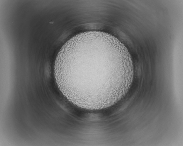 X0000111130255200907141216