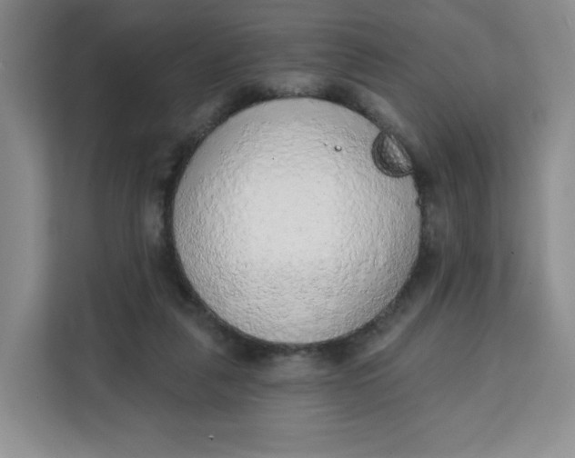 X0000111130259200907141217