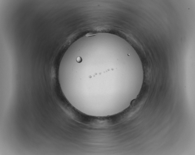 X0000111130260200907141217